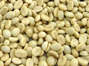 パーチメント、乾燥後